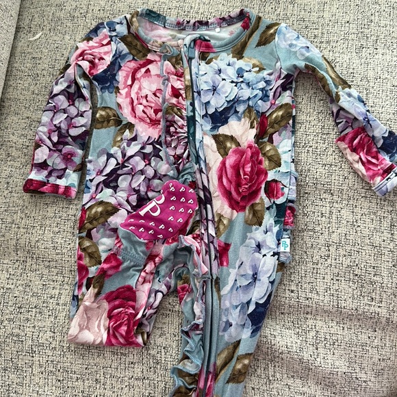 Posh peanut - Picture 1 of 1